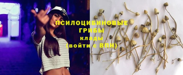MDMA Вяземский