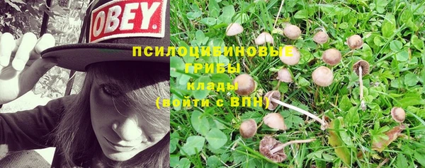 каннабис Вязники