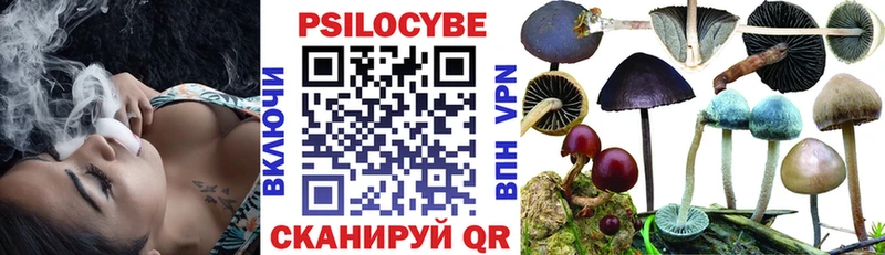 Псилоцибиновые грибы GOLDEN TEACHER  Владивосток 